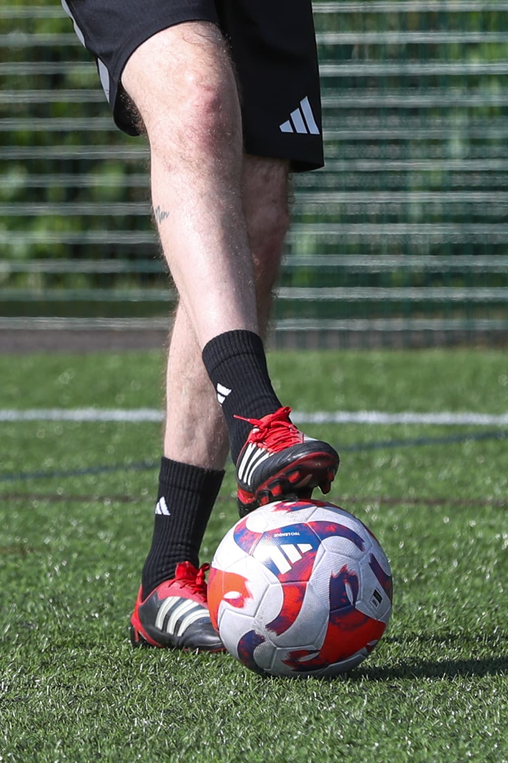 Liverpool International Academy Logo